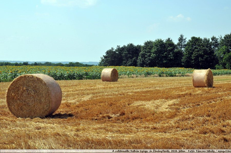 DSC_7790.JPG