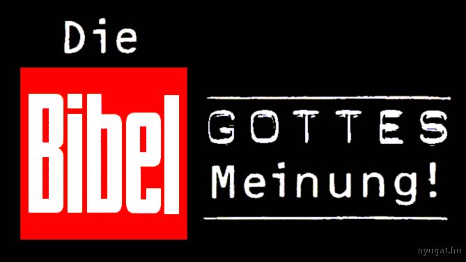 bild.jpg