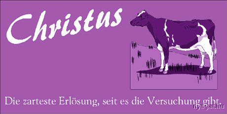 milka.jpg