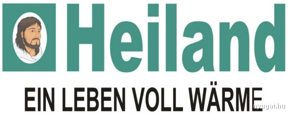 vaillant.jpg