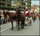 DSCF8110.jpg