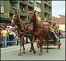 DSCF8141.jpg