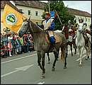 DSCF8202.jpg