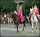 DSCF8431.jpg