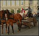 DSCF8465.jpg
