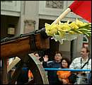 DSCF8549.jpg