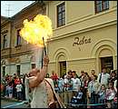DSCF8646.jpg