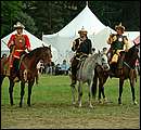 DSCF5931.jpg