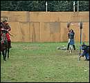 DSCF6050.jpg