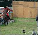 DSCF6078.jpg