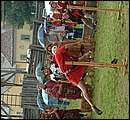 DSCF6206.jpg