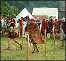 DSCF6223.jpg