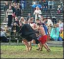 DSCF6337.jpg