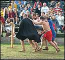 DSCF6338.jpg