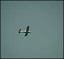 DSCF6354.jpg