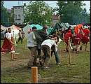 DSCF6377.jpg