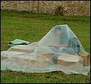 DSCF6417.jpg