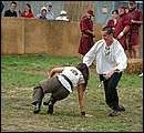DSCF6423.jpg