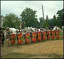 DSCF7702.jpg