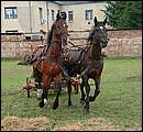 DSCF7745.jpg
