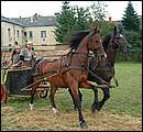 DSCF7753.jpg