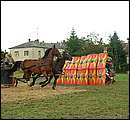 DSCF7763_legio_ny2.jpg