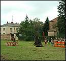 DSCF7783.jpg