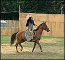 DSCF7784.jpg