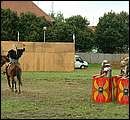 DSCF7785.jpg