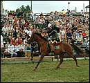 DSCF7797.jpg
