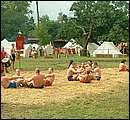 DSCF7852.jpg