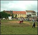 DSCF7929.jpg