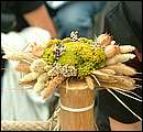 DSCF8006.jpg