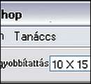gemshop.jpg
