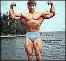 sandor_iron(1).gif