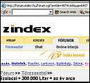 zindex.jpg