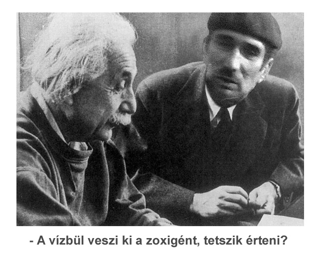 einstein(1).jpg