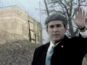 integet_bush.jpg