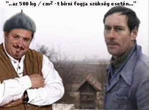 lajcsi.jpg