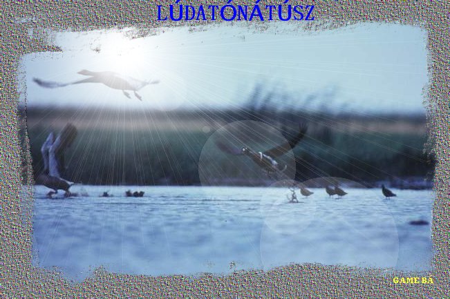 ludat.jpg