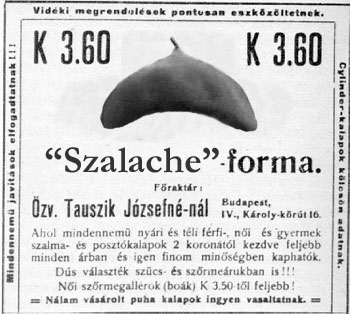 sapi.jpg