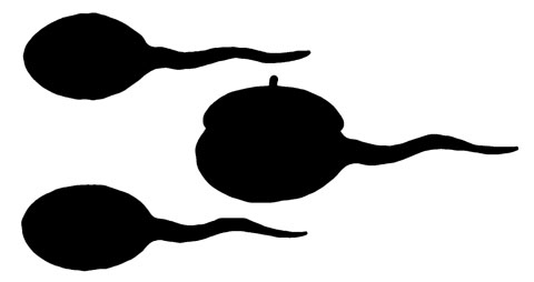 sperma.jpg