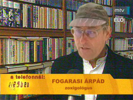 tn_zarpi.jpg