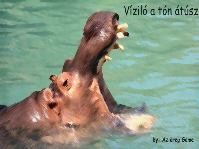 vizi.jpg