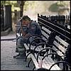 ny_terror20011.jpg