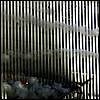 ny_terror200113.jpg