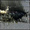 ny_terror200122.jpg