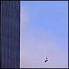 ny_terror200129.jpg