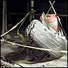 ny_terror200154.jpg