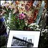 ny_terror200162.jpg